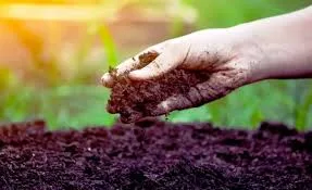 Bihar Government Tests Nearly 2 Lakh Soil Samples for Sustainable Farming