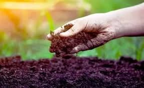 Bihar Government Tests Nearly 2 Lakh Soil Samples for Sustainable Farming
