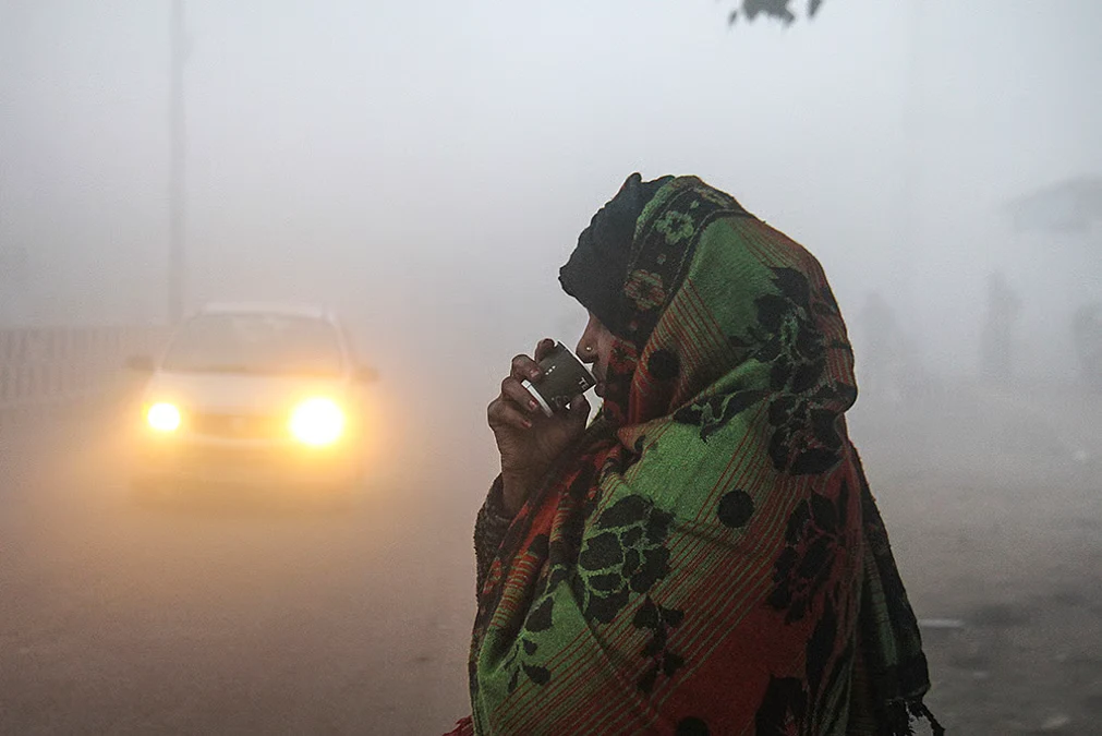 Bihar Weather: Intensifying Cold Wave and Fog Conditions Across the State