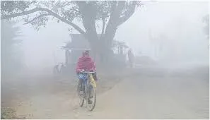 Cold Wave Continues Across Bihar, Temperatures Drop Further
