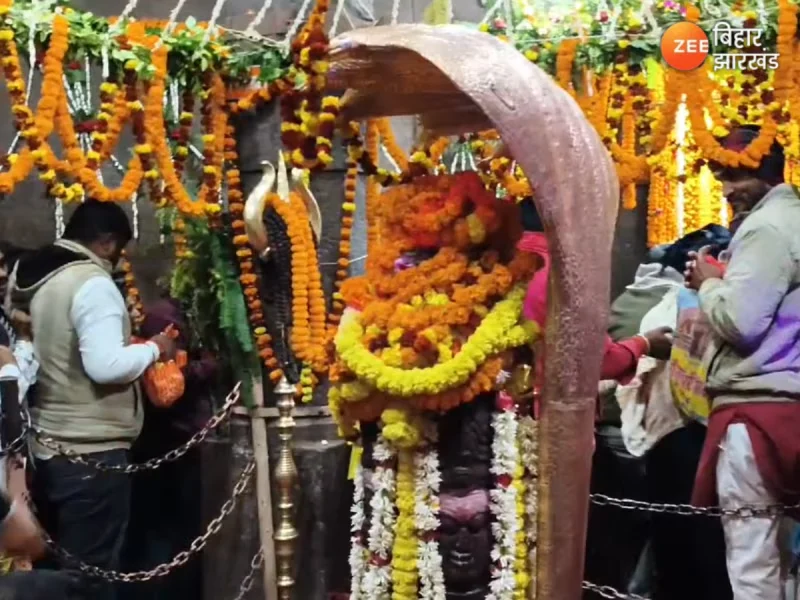 Devotees Flock to Mundeshwari Dham in Bihar for New Year Prayers and Nature Retreat