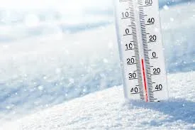 Patna Schools to Remain Closed Until 2 January Amid Severe Cold Wave